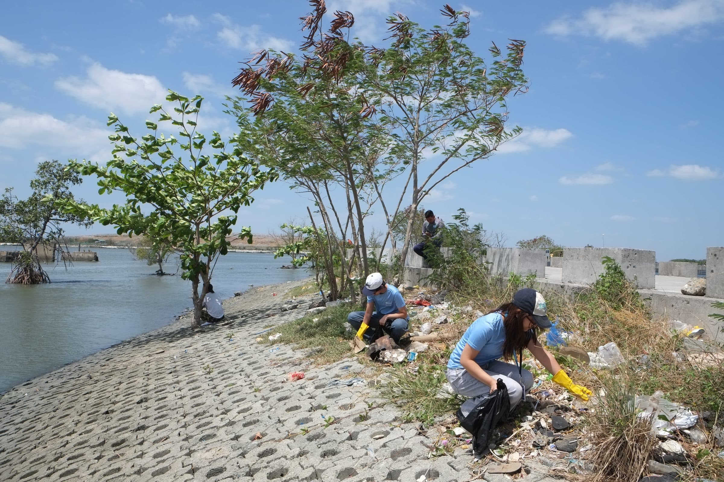 Members clearing debris along a shoreline during Habi-Tide